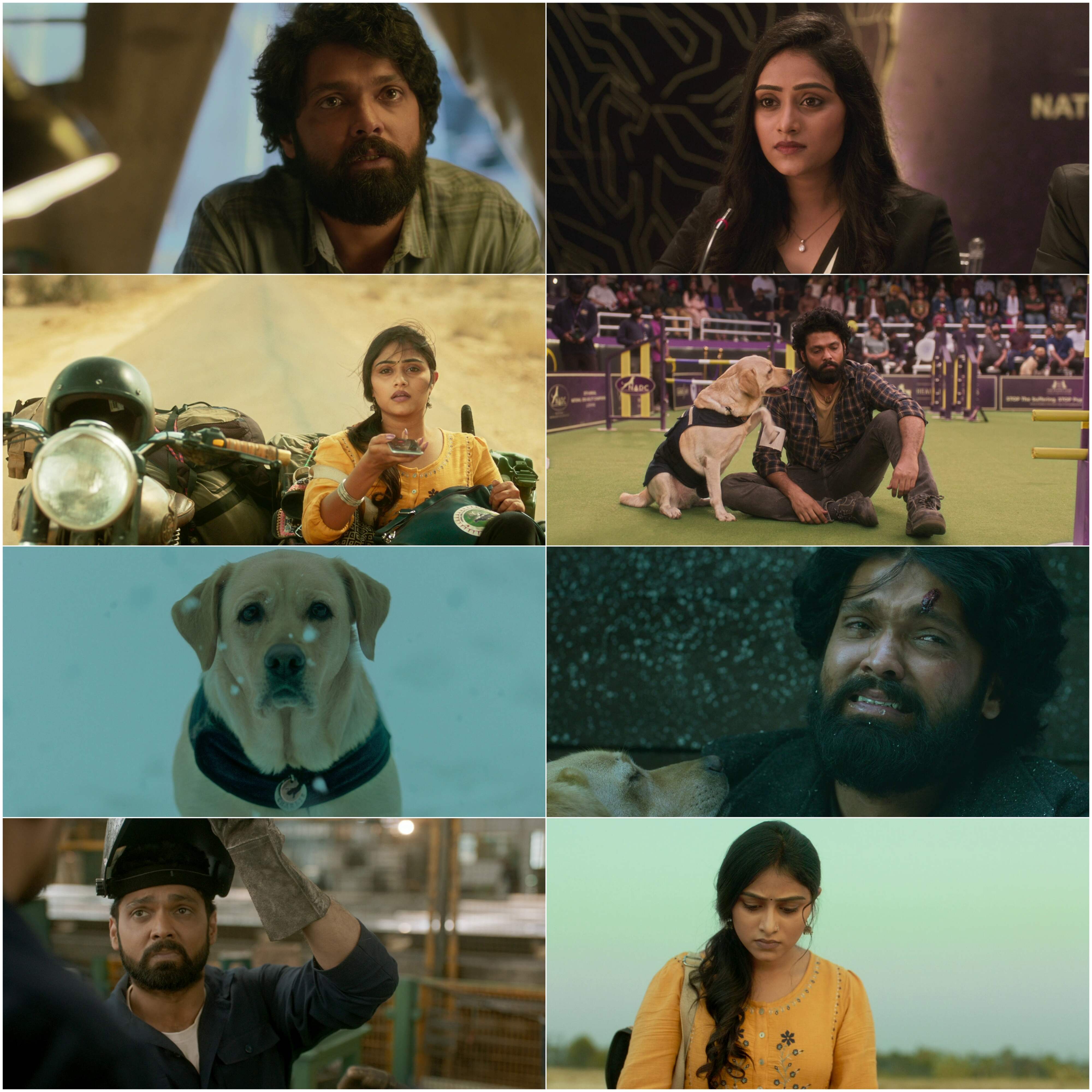 777 Charlie (2022) (Hindi + Kannada) Dual Audio UnCut South Movie HD ESub Screenshot