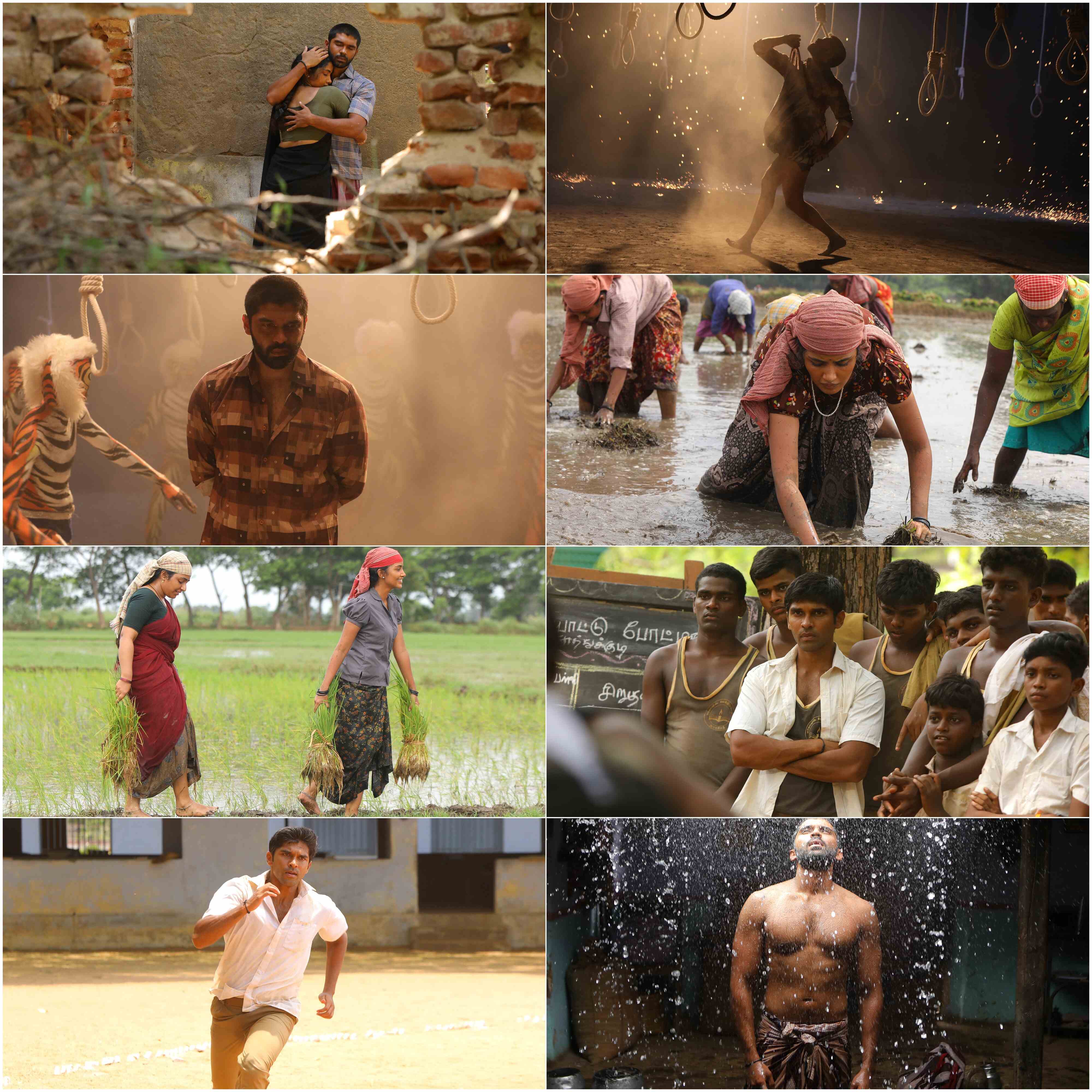 Bison Kaalamaadan (2025) (Hindi + Tamil) Dual Audio UnCut South Movie HD ESub Screenshot