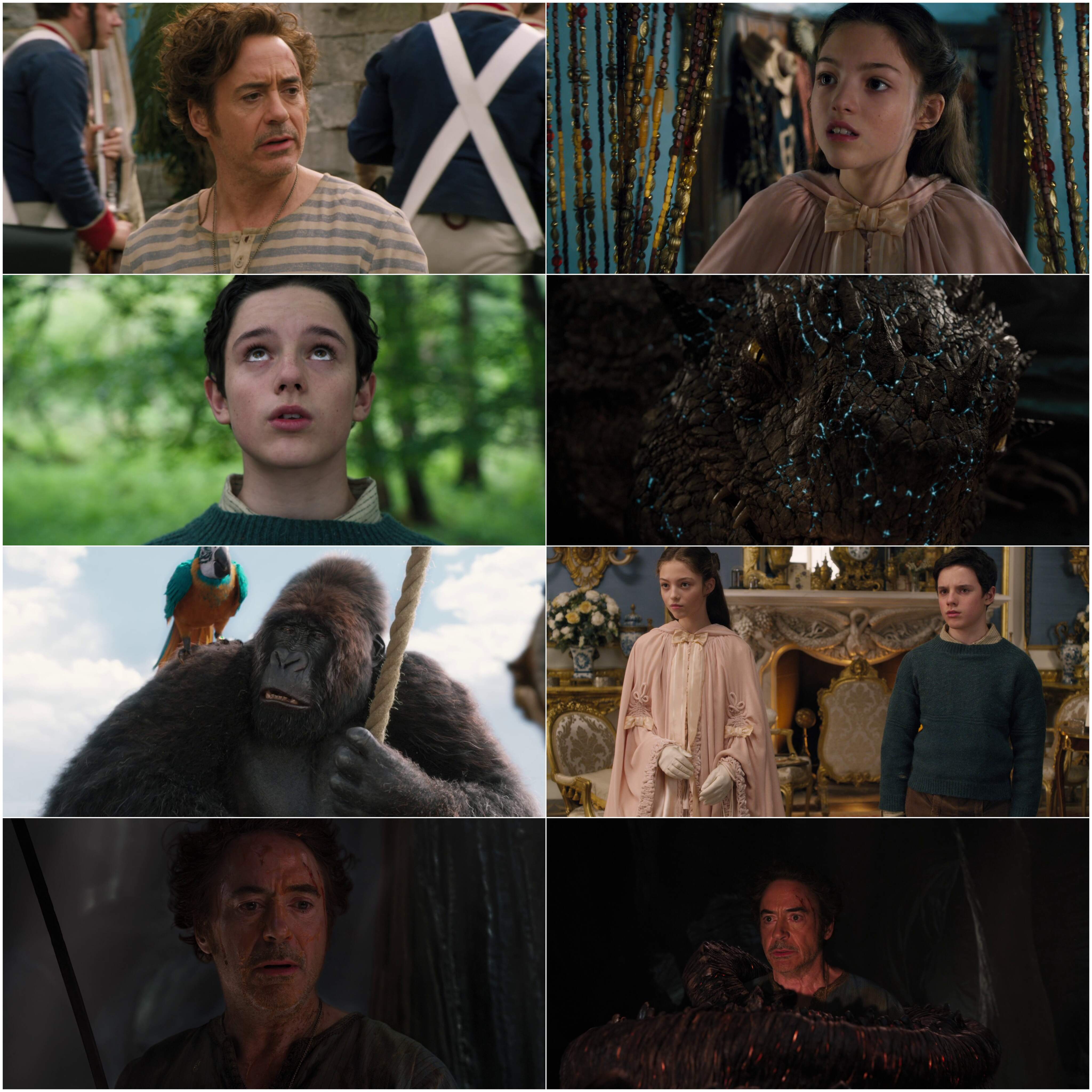 Dolittle (2020) (Hindi + English) Dual Audio Hollywood Movie BluRay HD ESub Screenshot
