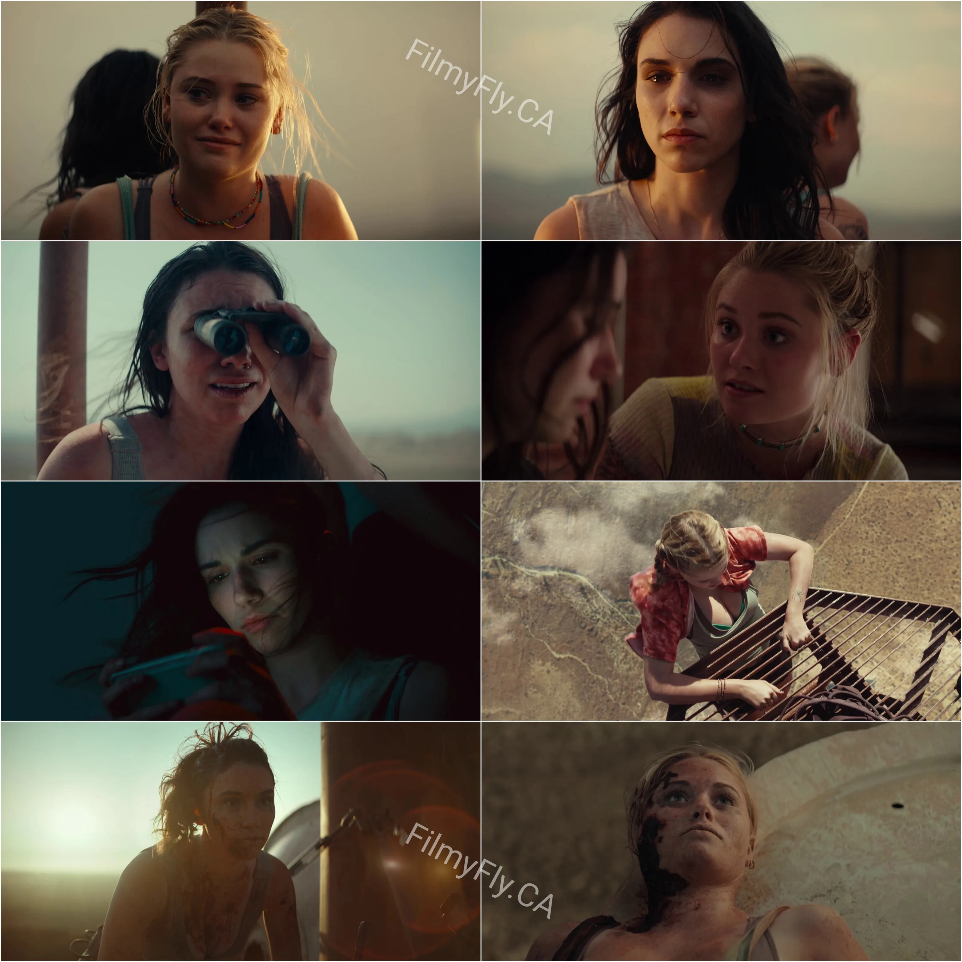Fall (2022) (Hindi + English) Dual Audio Hollywood Movie HD ESub Screenshot