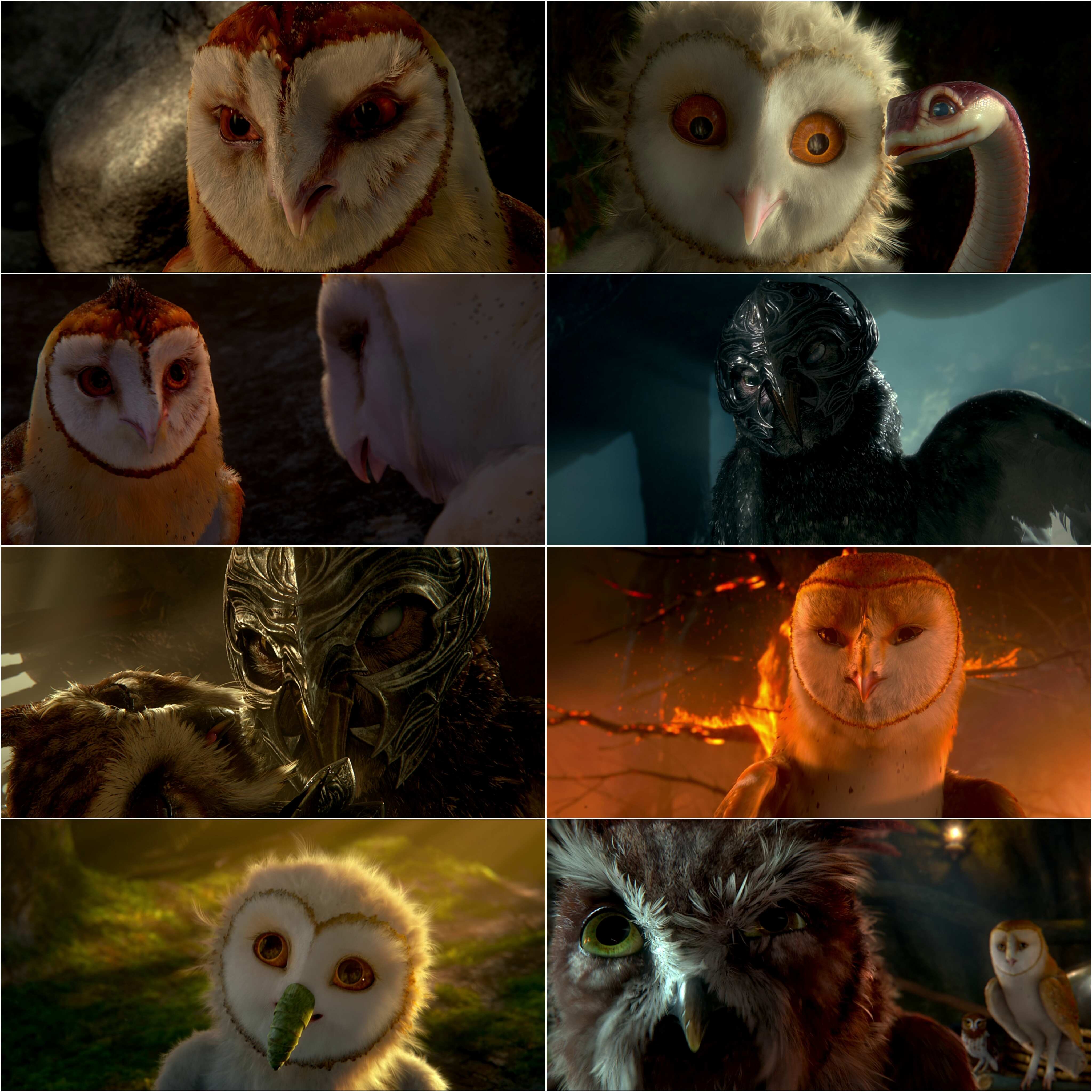 Legend of the Guardians - The Owls of GaHoole (2010) (Hindi + English) Dual Audio Hollywood Movie BluRay HD ESub Screenshot