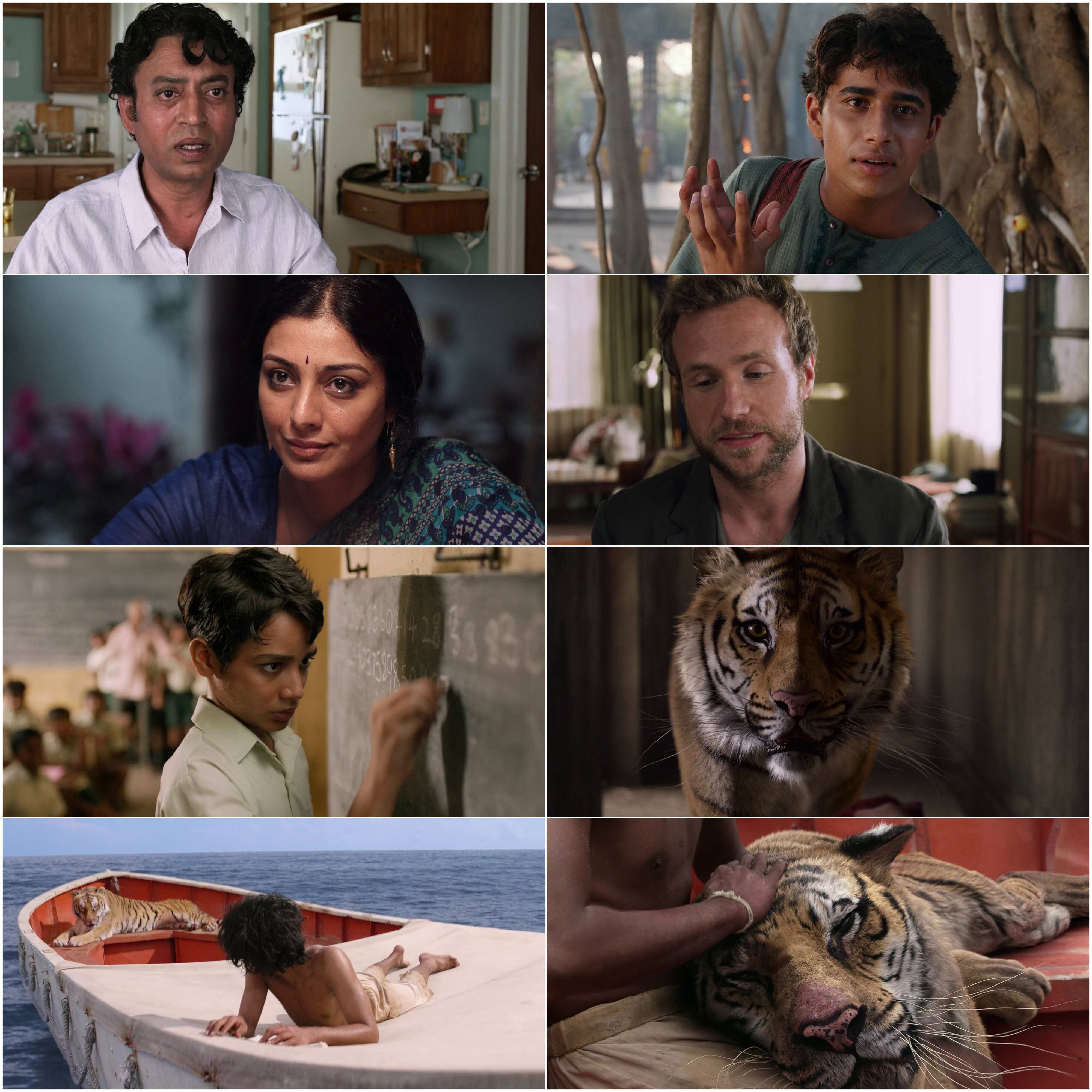 Life of Pi (2012) (Hindi + English) Dual Audio Bollywood Movie HD ESub Screenshot