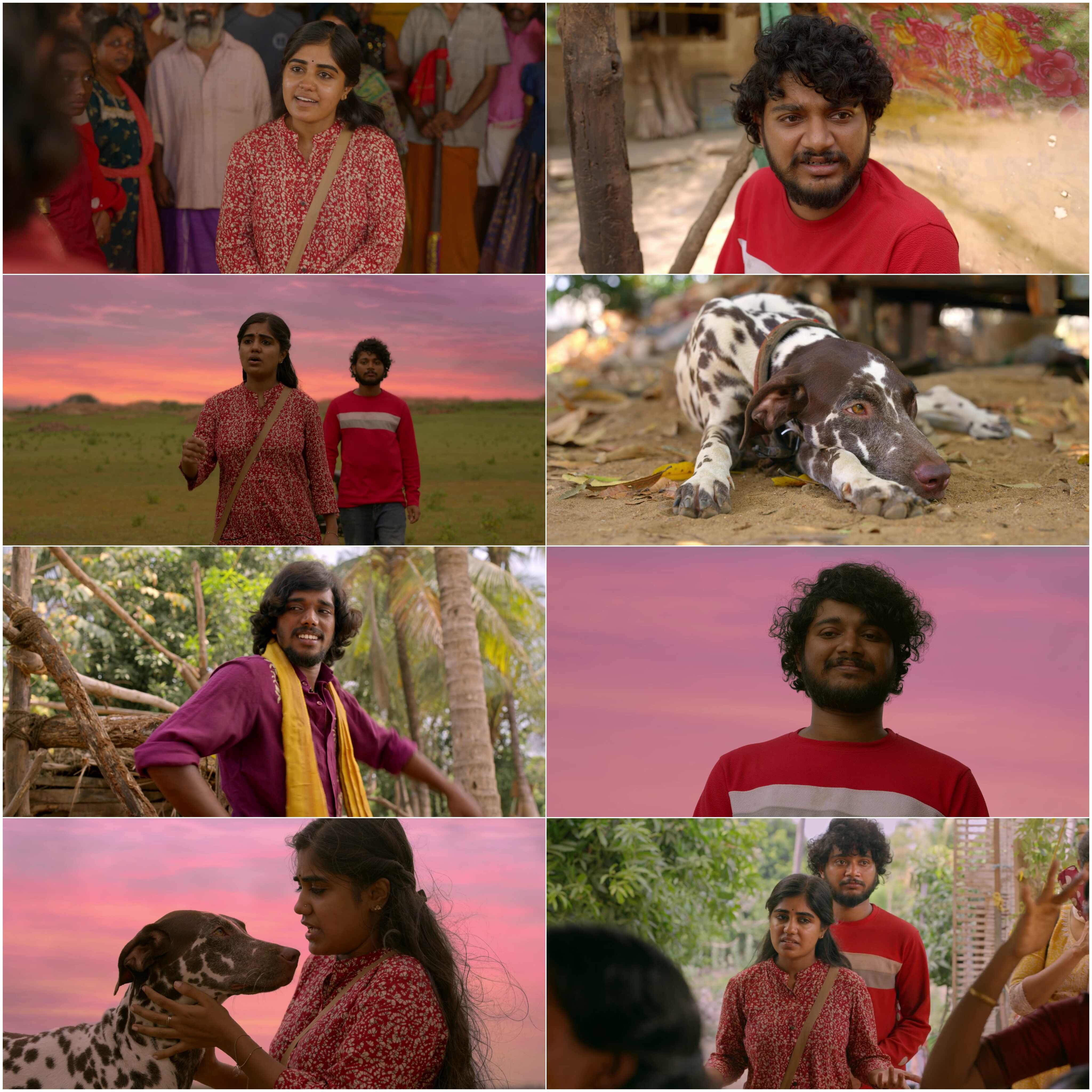 Pennum Porattum (2026) (Hindi + Malayalam) Dual Audio UnCut South Movie HD ESub Screenshot