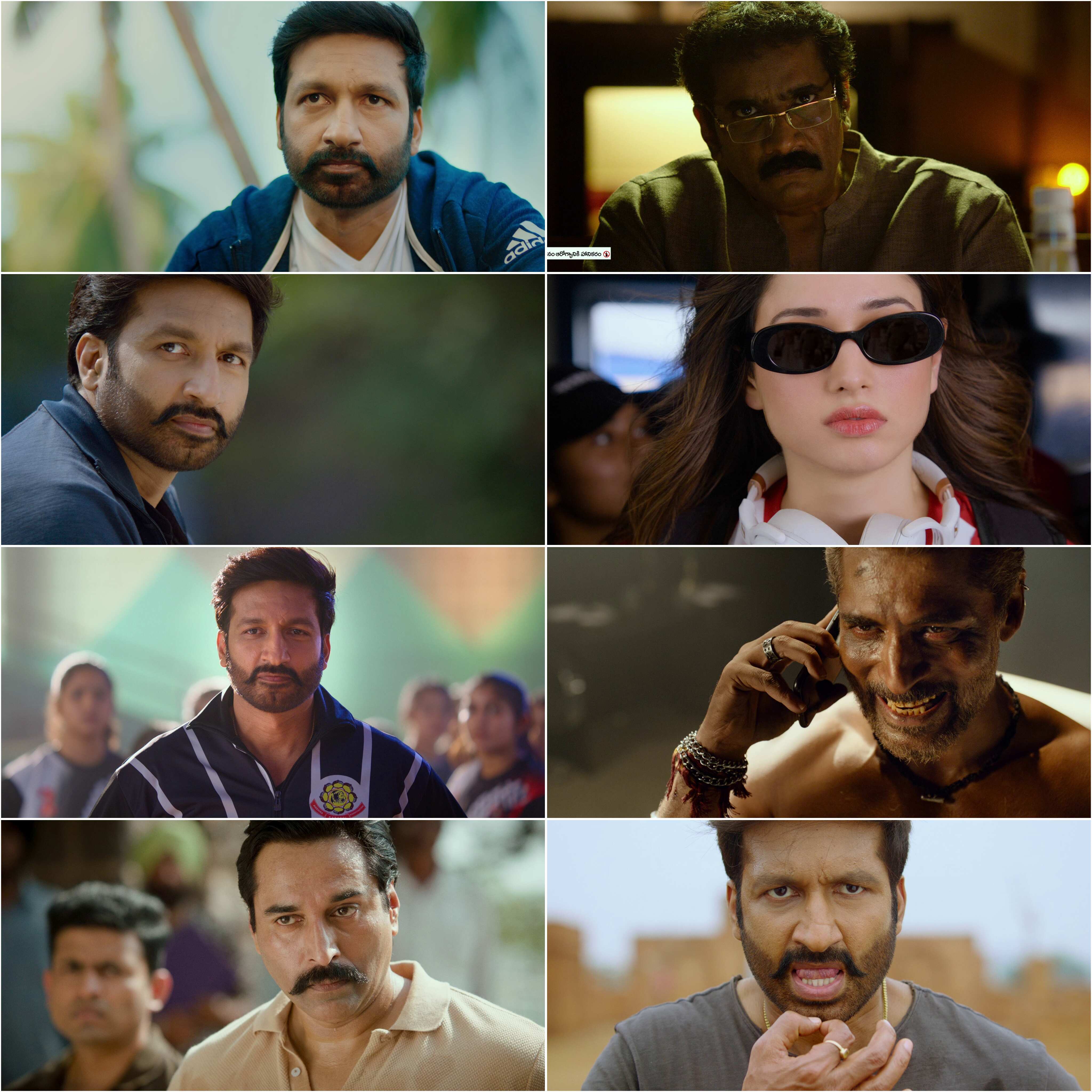 Seetimaarr (2021) (Hindi + Telugu) Dual Audio UnCut South Movie HD ESub Screenshot
