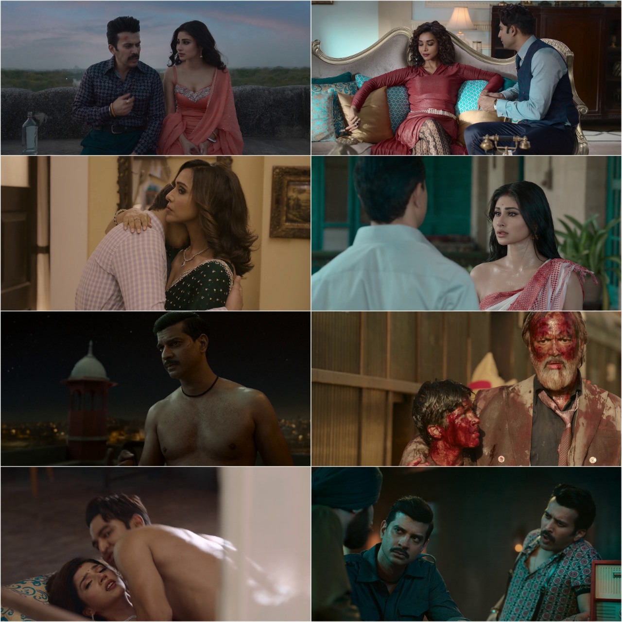 Sultan of Delhi S1 (2023) Hindi Completed Web Series HEVC ESub Screenshot