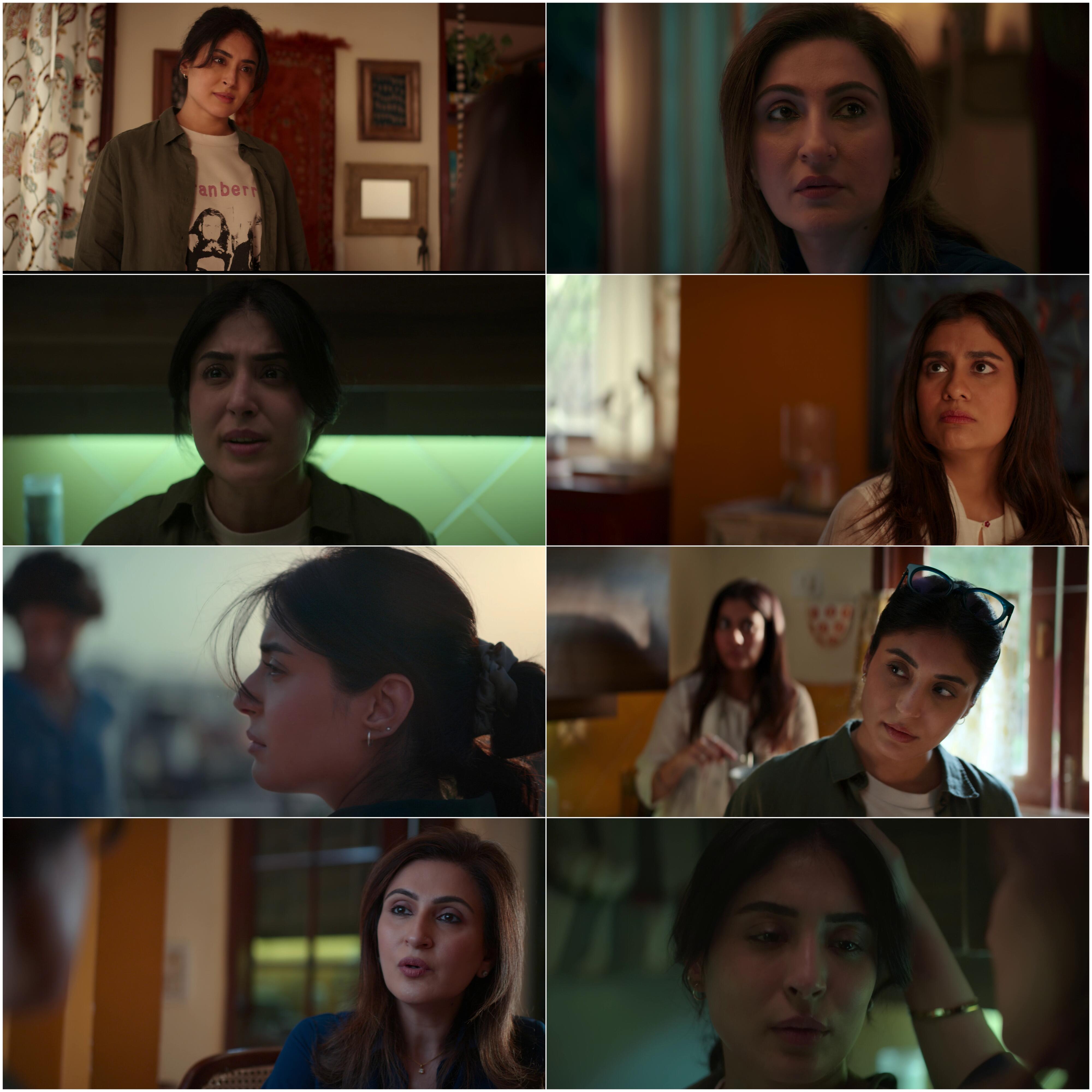 The Great Shamsuddin Family (2025) Bollywood Hindi Movie HD ESub Screenshot