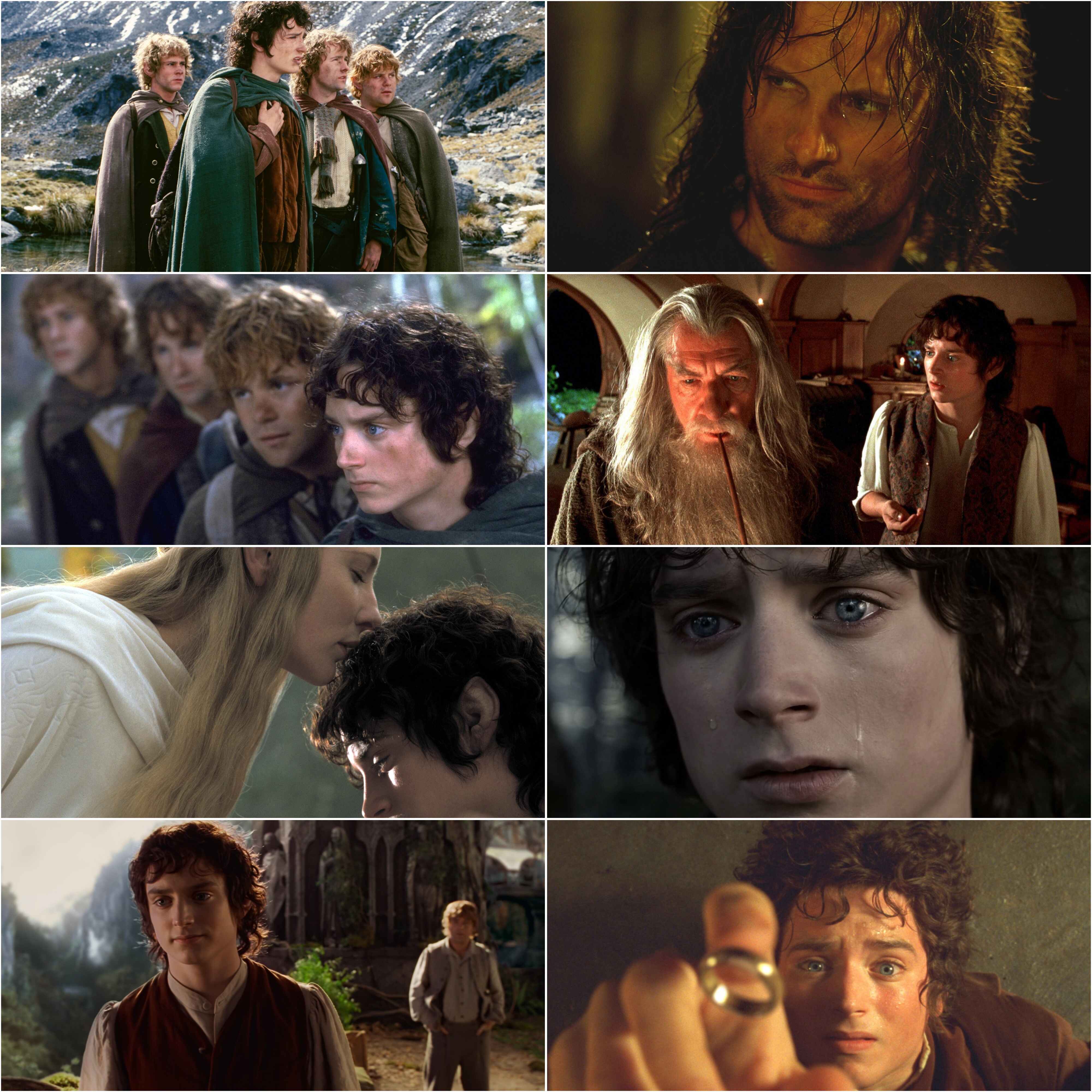The Lord of the Rings - The Fellowship of the Ring (2001) (Hindi + English) Dual Audio Hollywood Movie BluRay HD ESub Screenshot