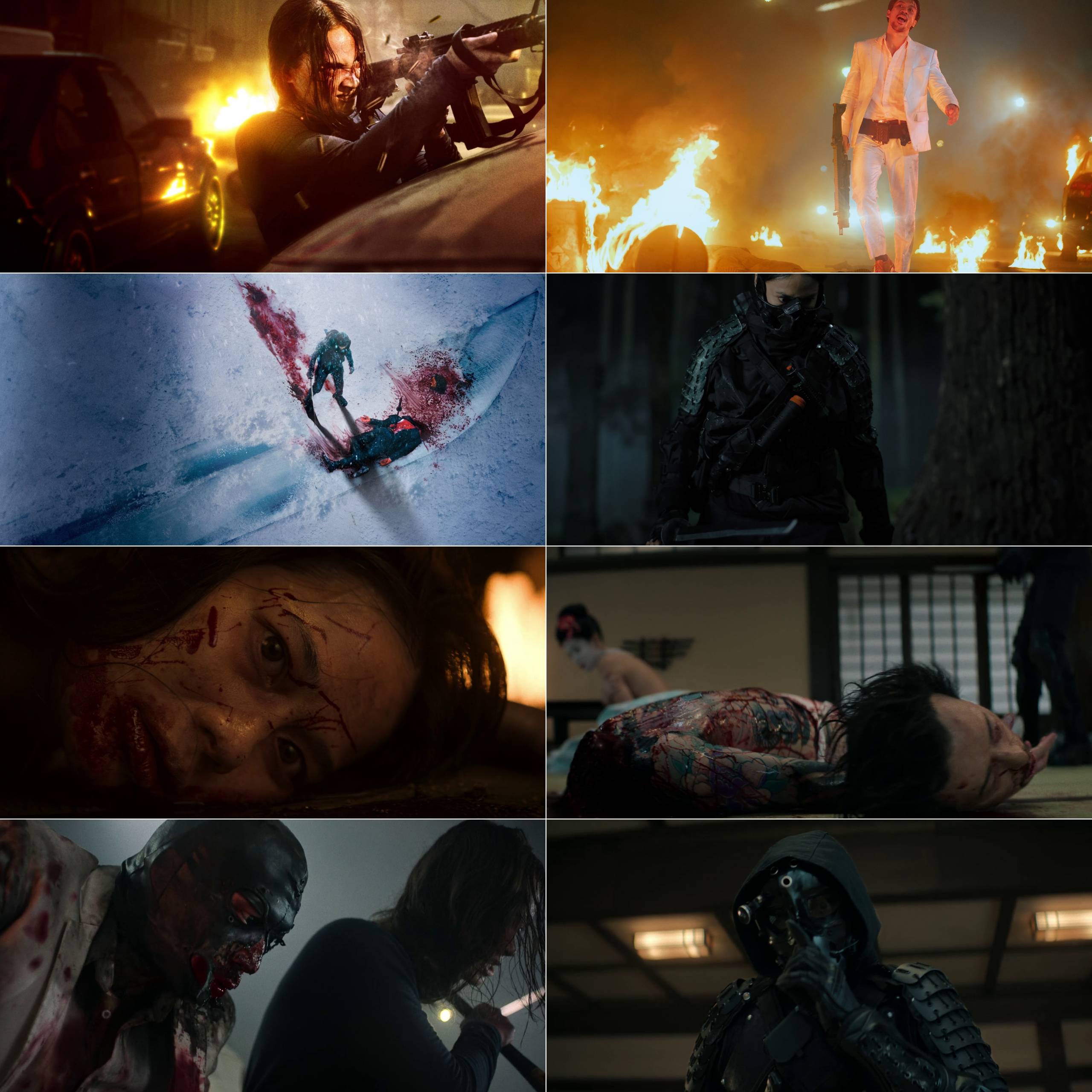 The Shadow Strays (2024) (Hindi + English) Dual Audio Movie HD ESub Screenshot