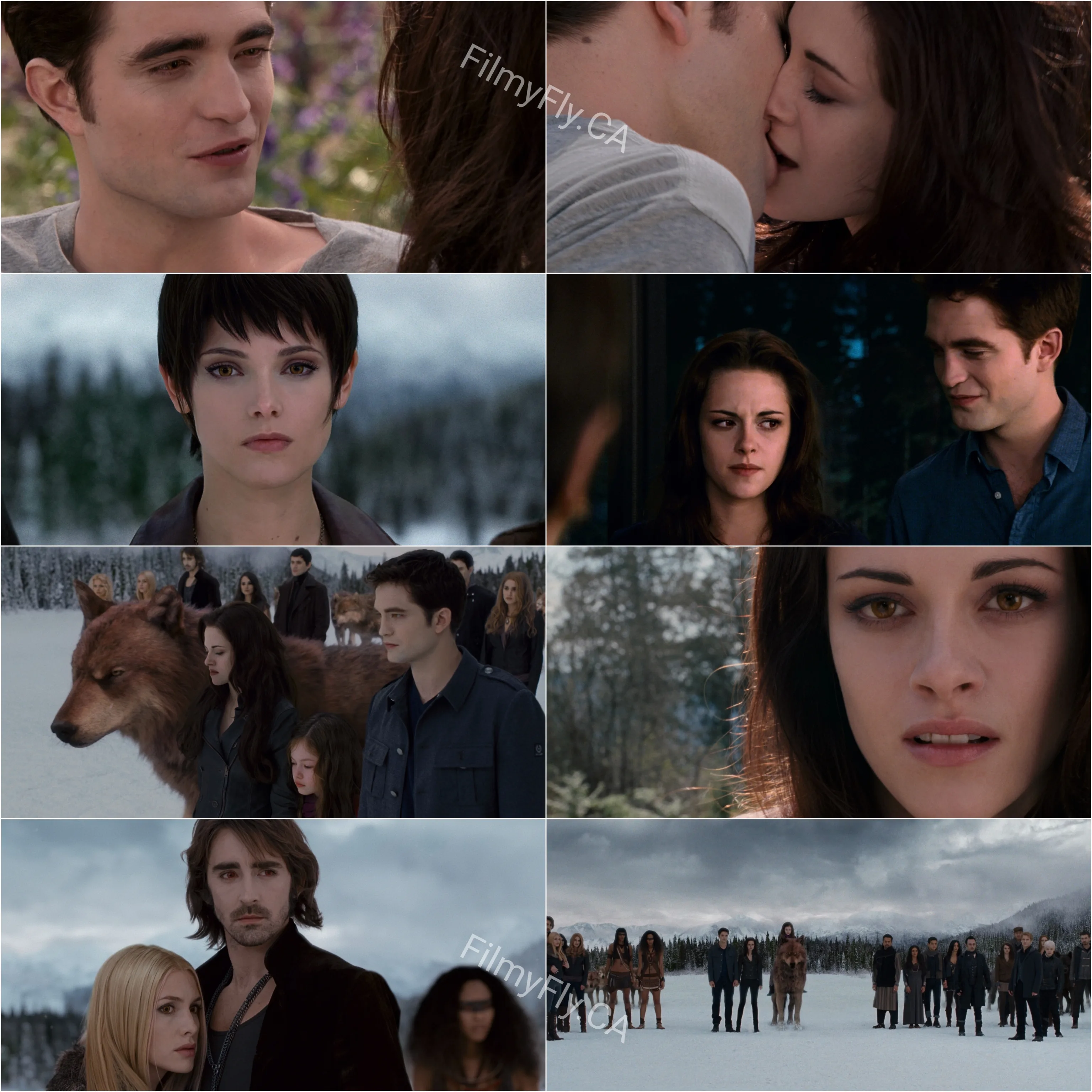 The Twilight Saga - Breaking Dawn - Part 2 (2012) (Hindi + English) Dual Audio Hollywood Movie HD ESub Screenshot