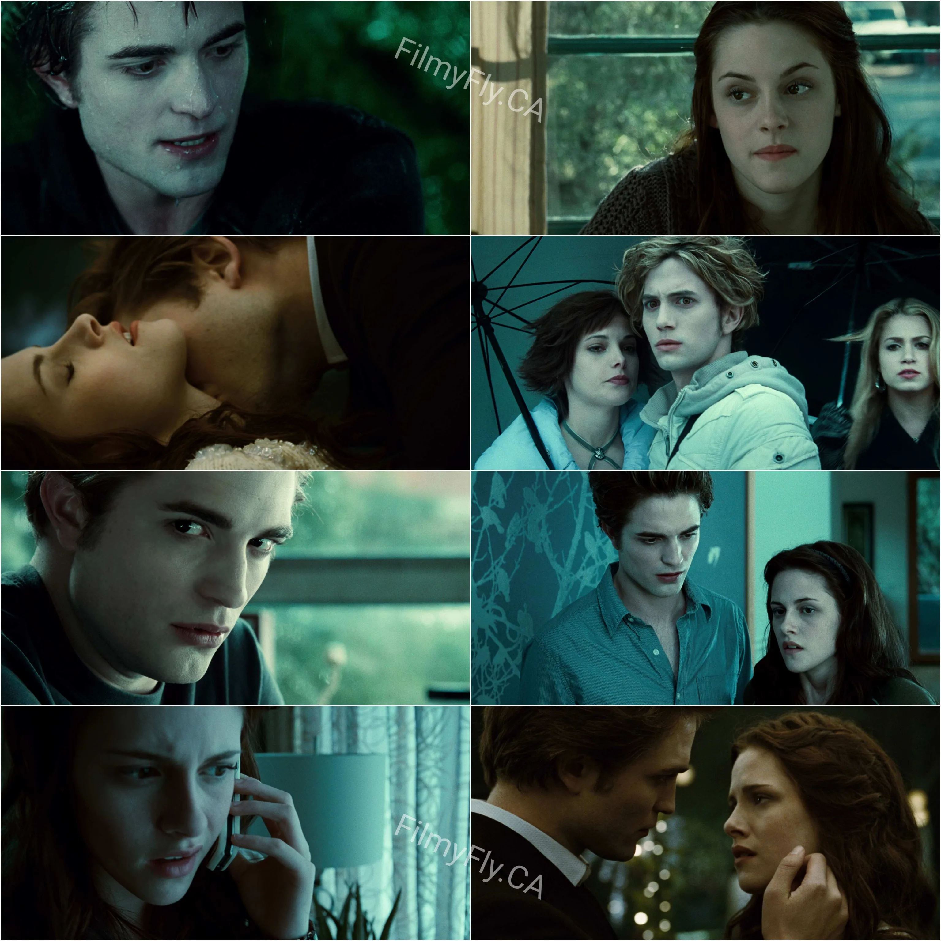 Twilight (2008) (Hindi + English) Dual Audio Hollywood Movie HD ESub Screenshot